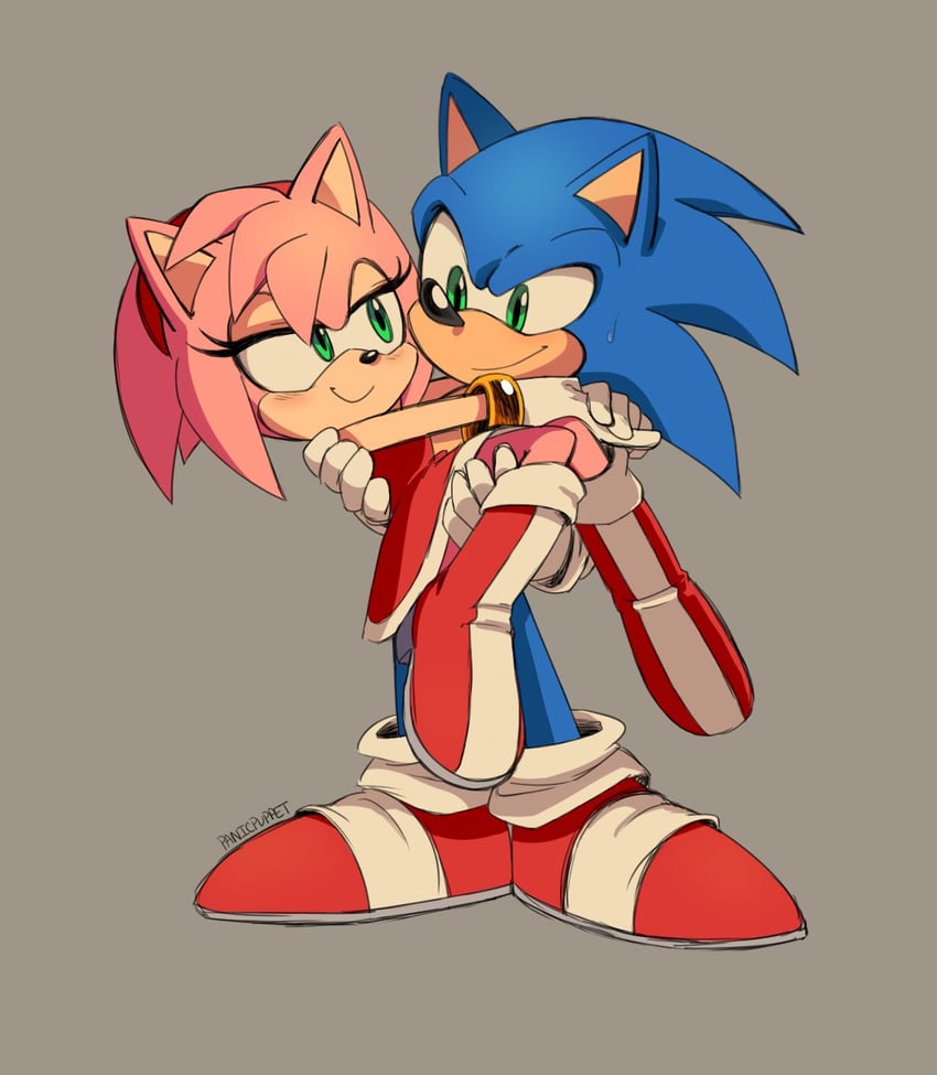 sonic the hedgehog and amy rose (sonic) drawn by panic_puppet