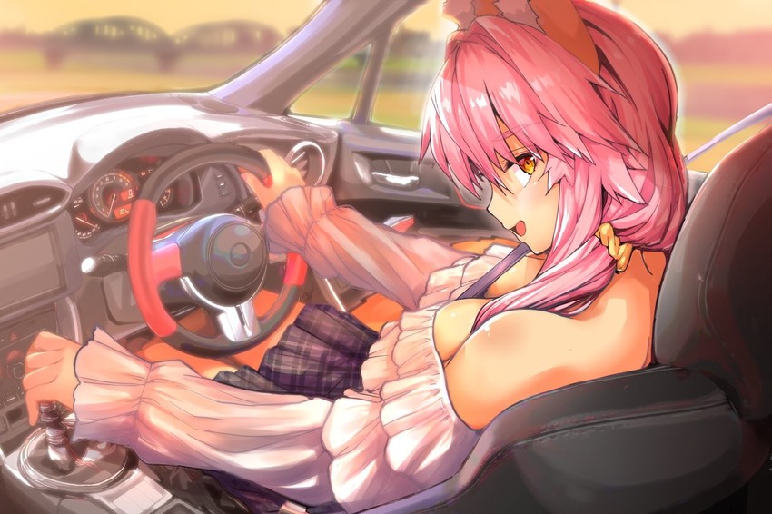 tamamo and tamamo no mae (fate and 3 more) drawn by wisespeak