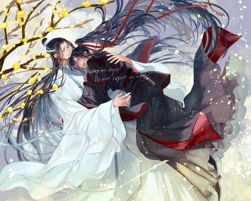 wei wuxian and lan wangji (modao zushi) drawn by mg_ms_dayo