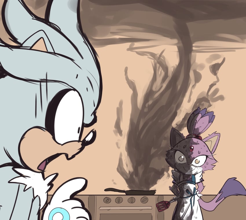 blaze the cat and silver the hedgehog (sonic) drawn by karl0