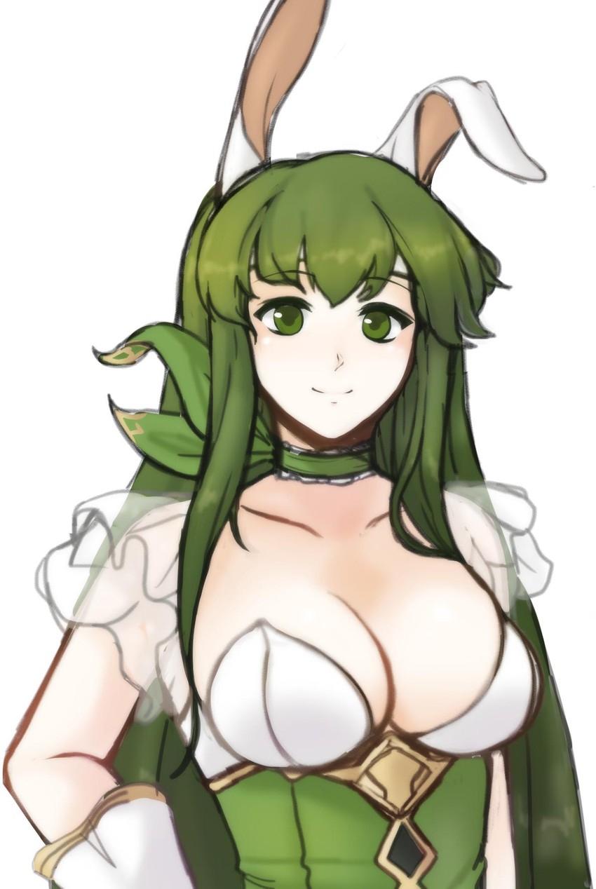 palla (fire emblem and 2 more) drawn by tridisart