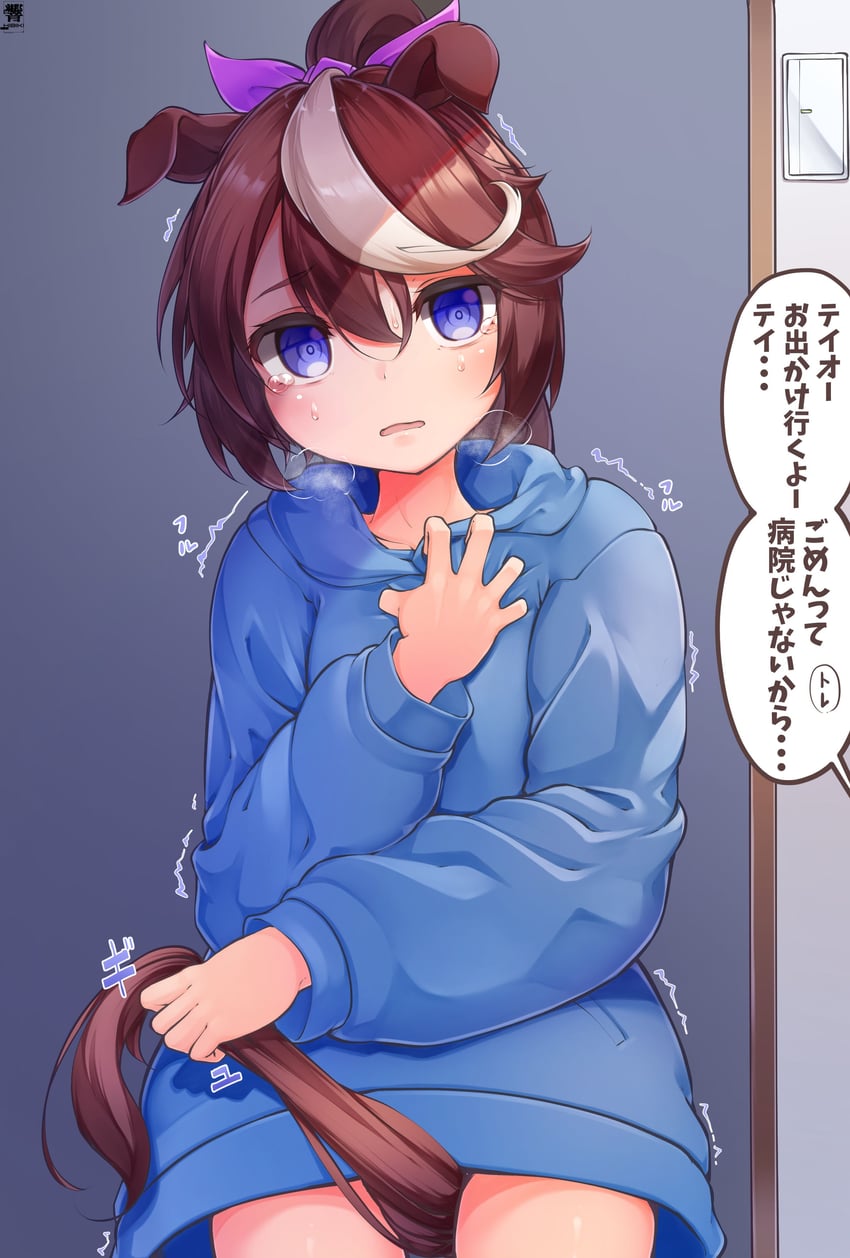 tokai teio (umamusume) drawn by hibiki_(zerocodo)