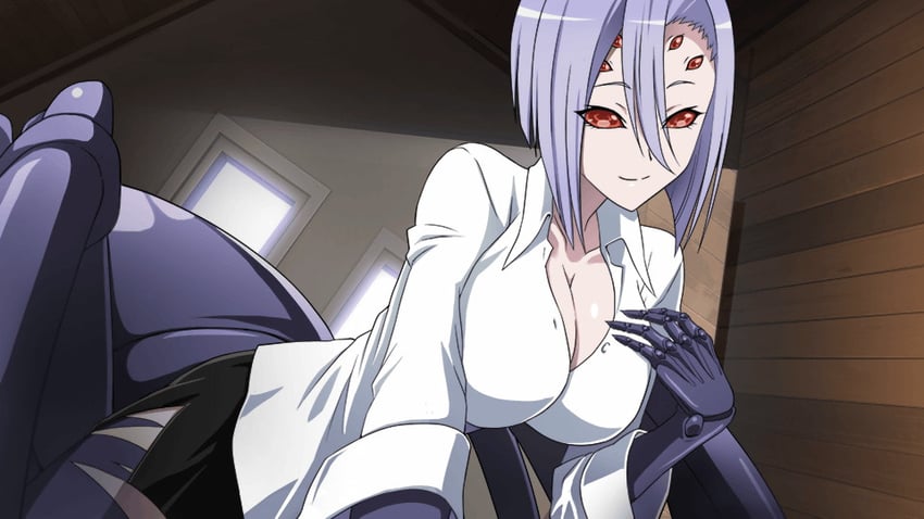rachnera arachnera (monster musume no iru nichijou and 1 more)