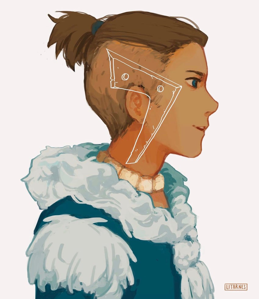 sokka (avatar legends and 1 more) drawn by litarnes