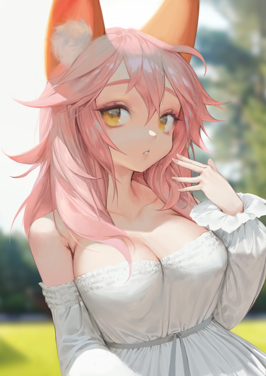 tamamo and tamamo no mae (fate and 2 more) drawn by charles_(106858)