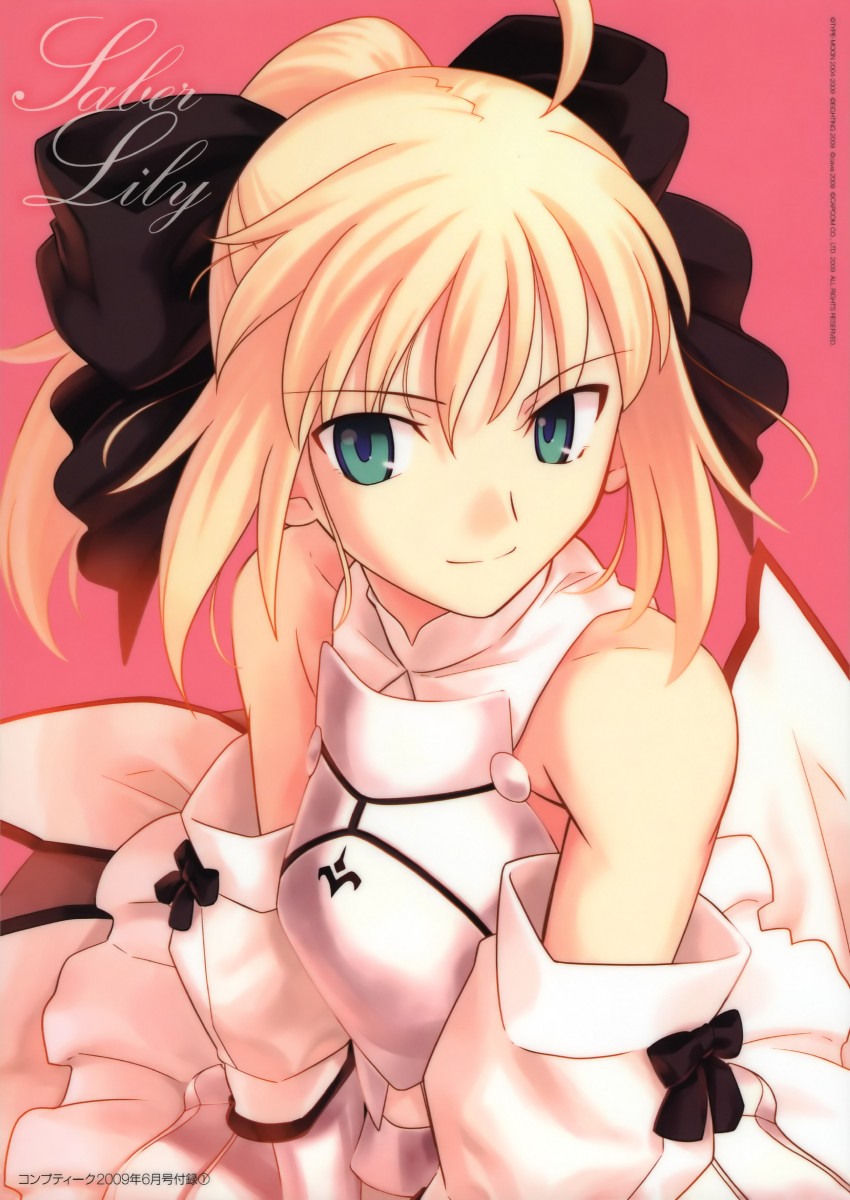 artoria pendragon and saber lily (fate and 1 more) drawn by takeuchi_takashi