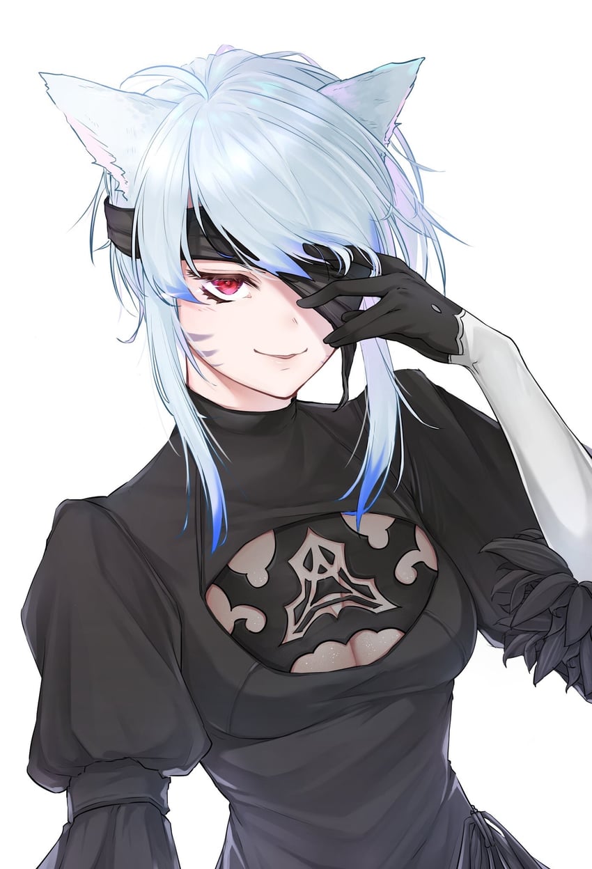 warrior of light and 2b (final fantasy and 3 more) drawn by liz_gray