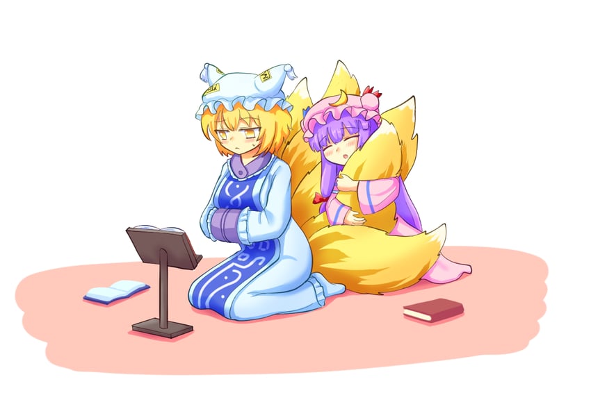 patchouli knowledge and yakumo ran (touhou) drawn by yoruniwa