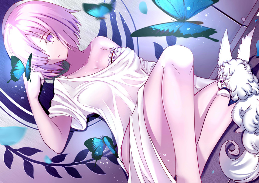 mash kyrielight and fou (fate and 1 more) drawn by paperfinger