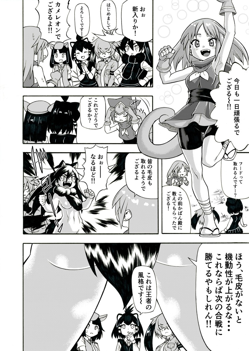 shoebill, moose, panther chameleon, giant armadillo, and crested porcupine (kemono friends) drawn by ika_(gabyonsasatta)