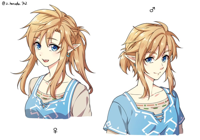 link (the legend of zelda and 1 more) drawn by furofuki_daikon