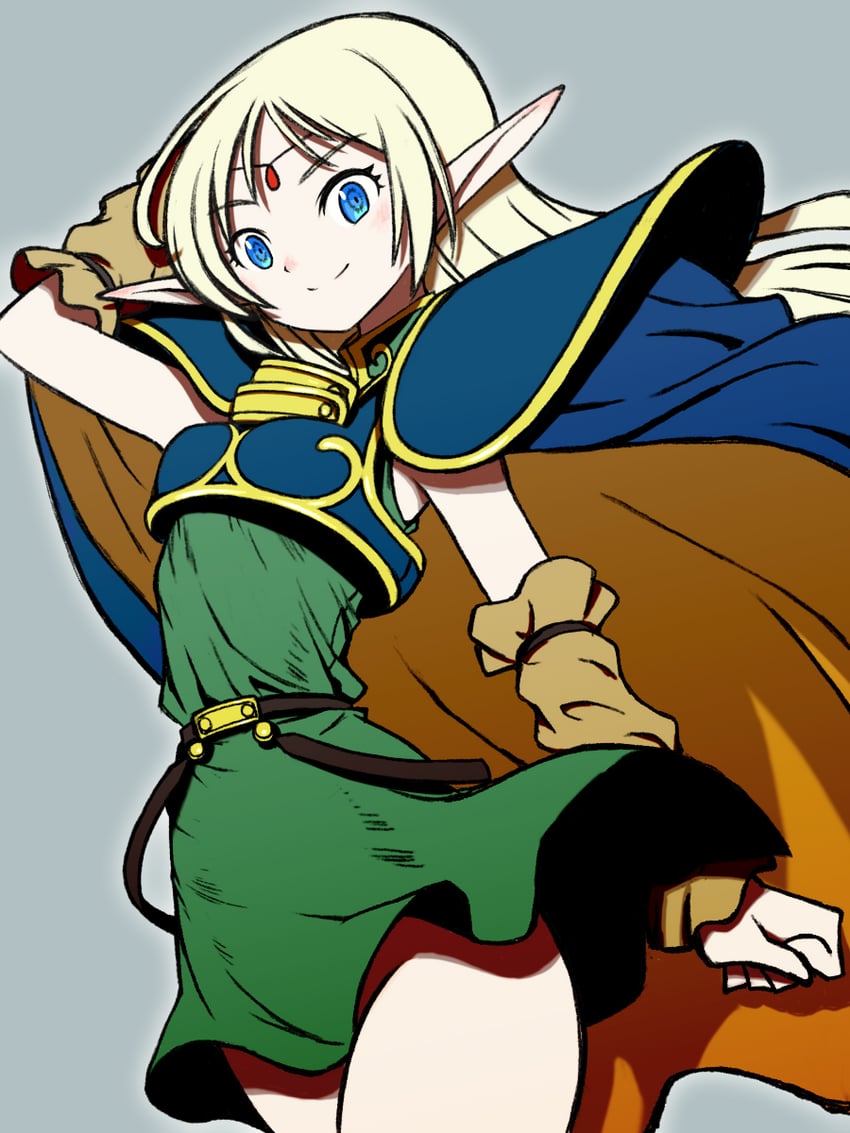 deedlit (record of lodoss war) drawn by beeru_(veil8801)