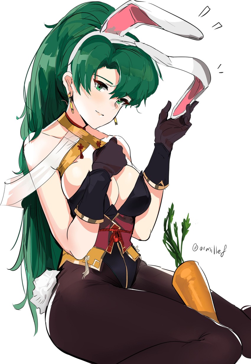 lyn and kagero (fire emblem and 3 more) drawn by ormille