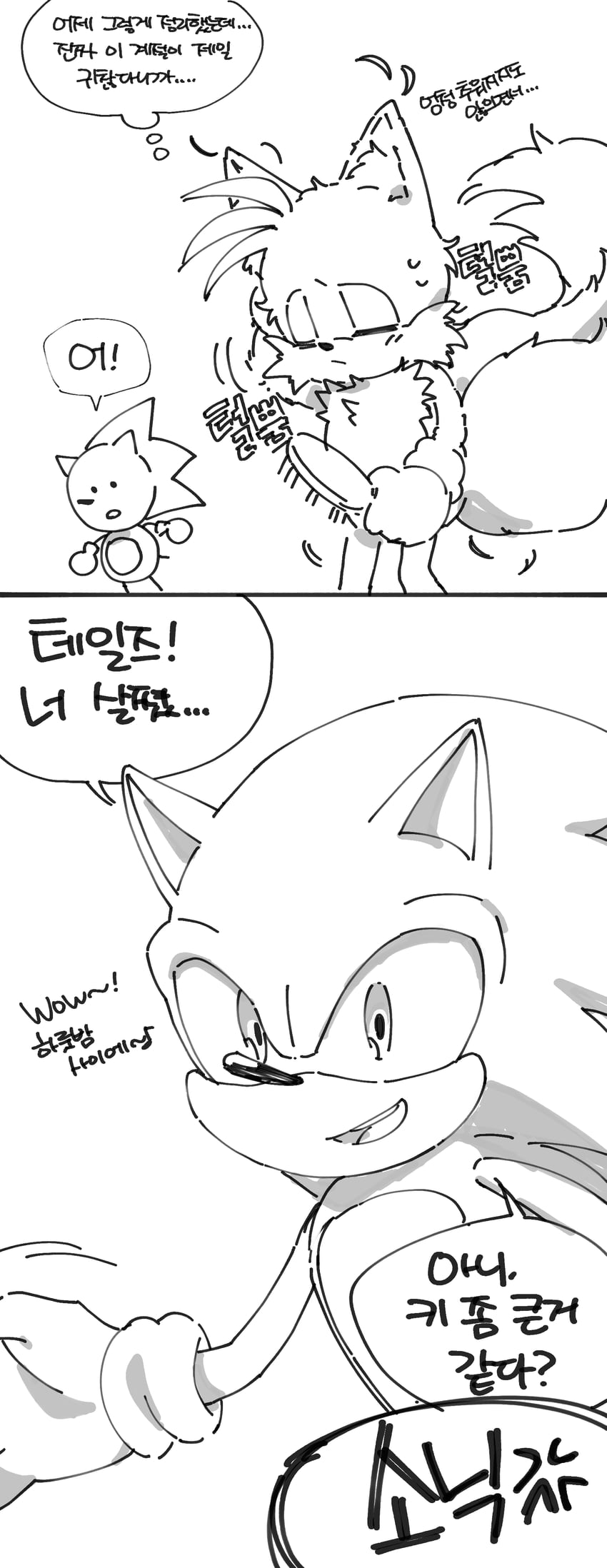 sonic the hedgehog and tails (sonic) drawn by banri_0917