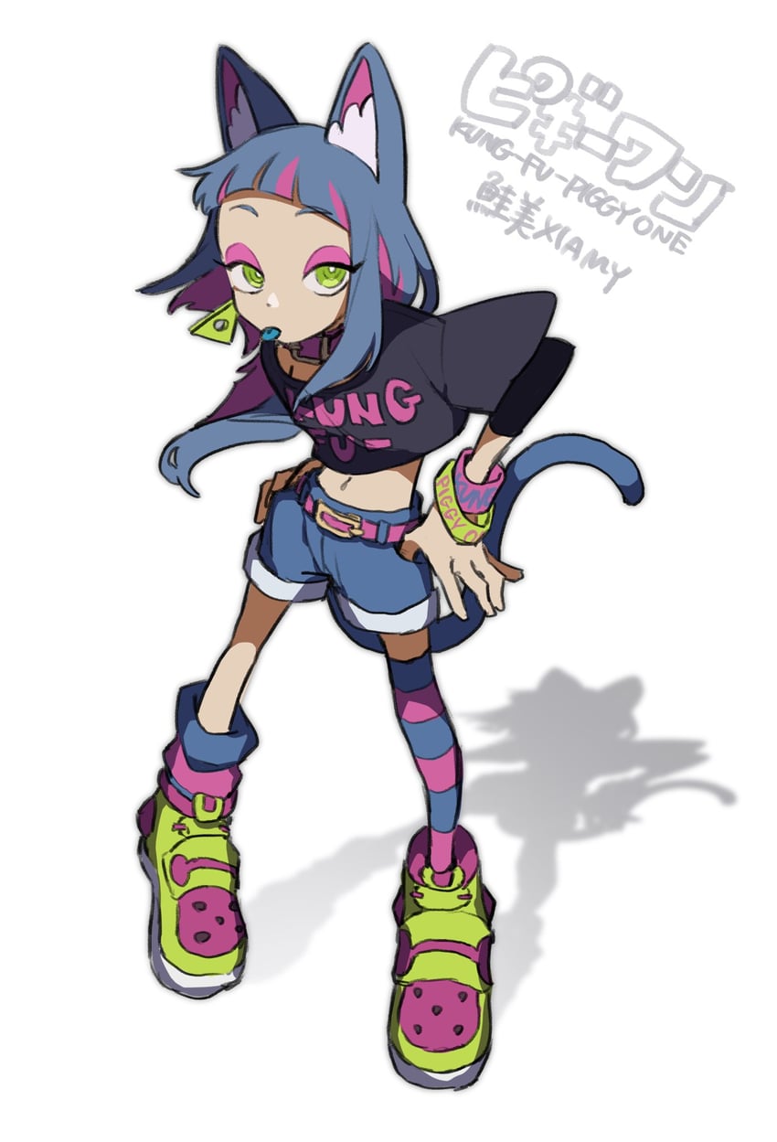 sammy (kung-fu-piggy) drawn by tarou_(the_za_tsu)