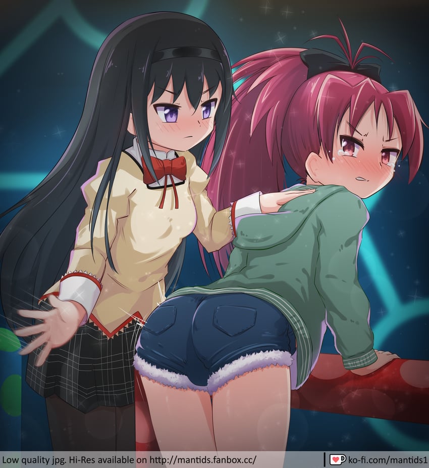 akemi homura and sakura kyoko (mahou shoujo madoka magica) drawn by twintails_(mantids)