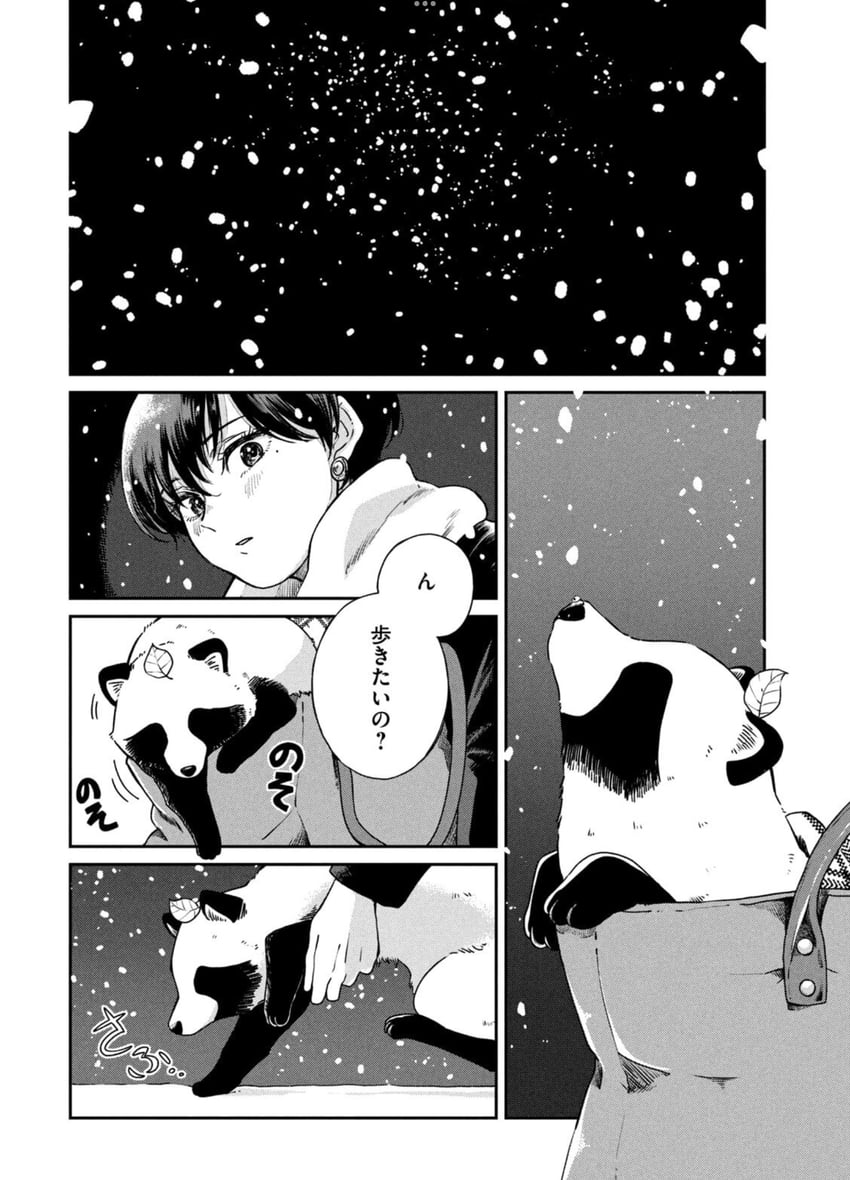 tanuki and fuji (ame to kimi to) drawn by nikaidou_kou