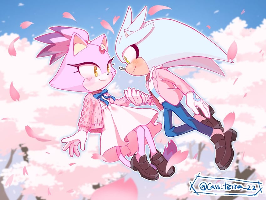 blaze the cat and silver the hedgehog (sonic) drawn by cass_terra_22