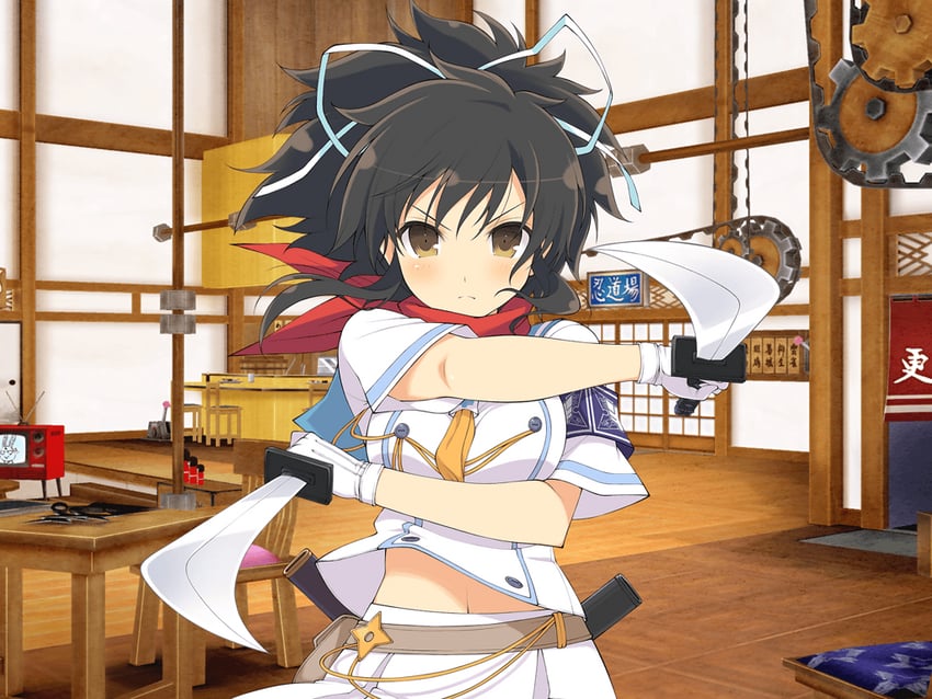 asuka and ninto (senran kagura and 1 more) drawn by yaegashi_nan