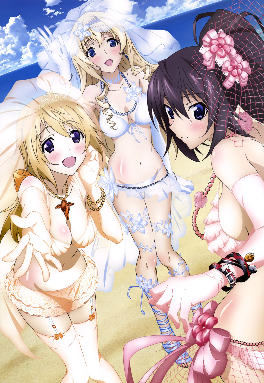 charlotte dunois, cecilia alcott, and shinonono houki (infinite stratos and 1 more)