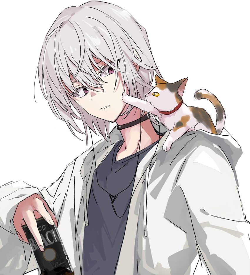 accelerator and sphinx (toaru majutsu no index) drawn by anninn_do_fu