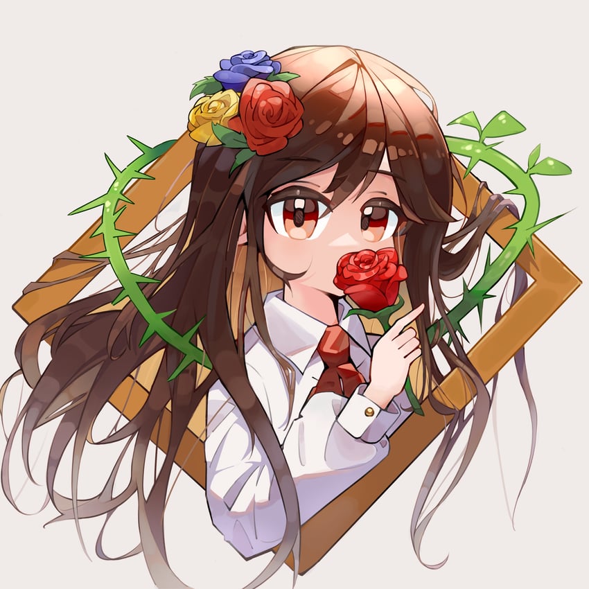 ib (ib) drawn by kuangketi