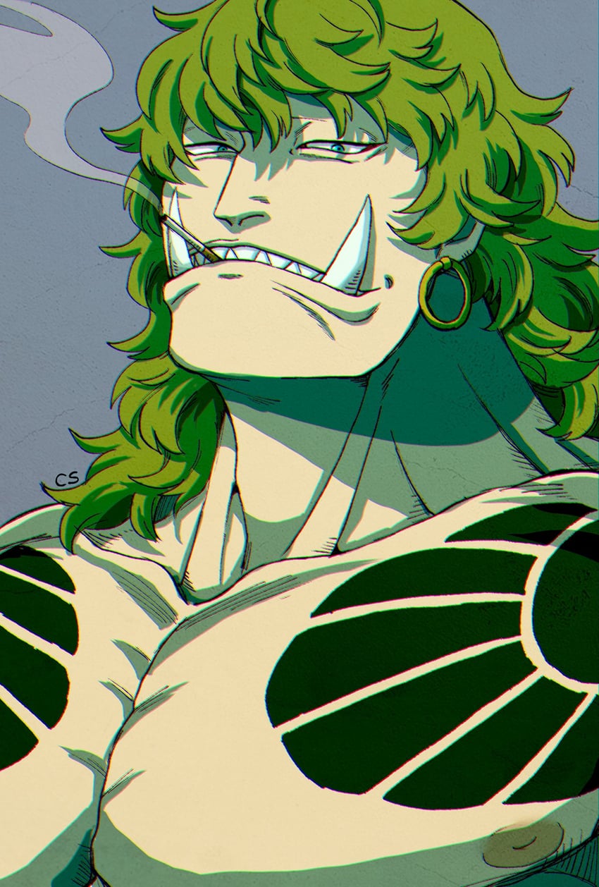 sasaki (one piece) drawn by gomamotsu