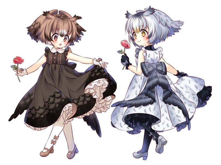 northern white-faced owl and eurasian eagle owl (kemono friends) drawn by sumachii