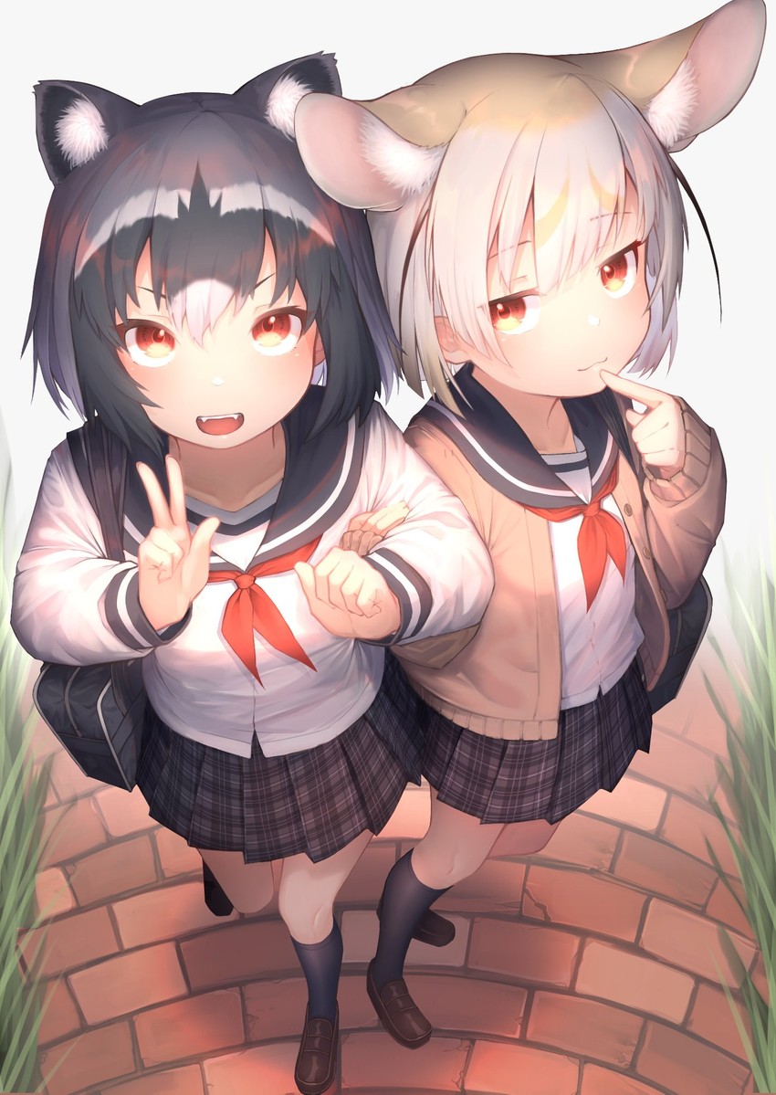 common raccoon and fennec (kemono friends) drawn by akuma_(st.takuma)