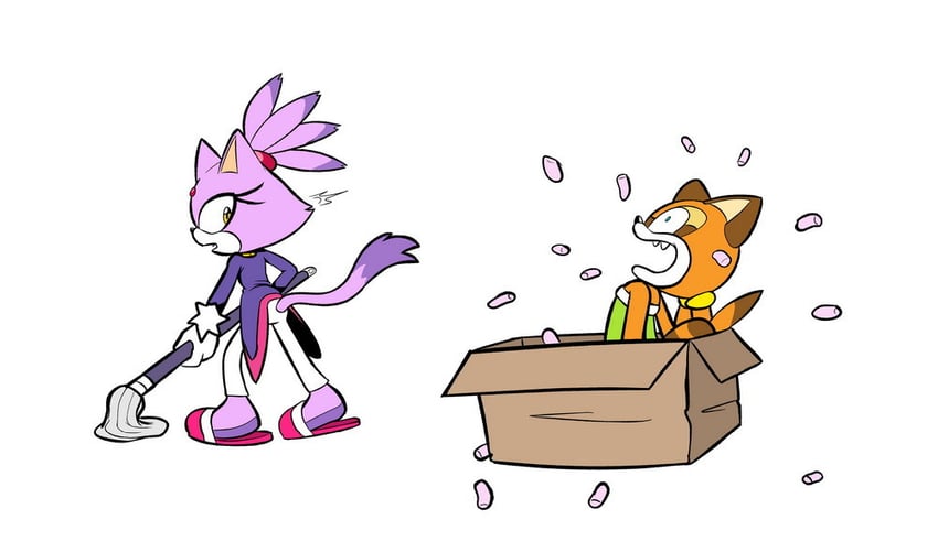 blaze the cat and marine the raccoon (sonic and 1 more) drawn by alotaart