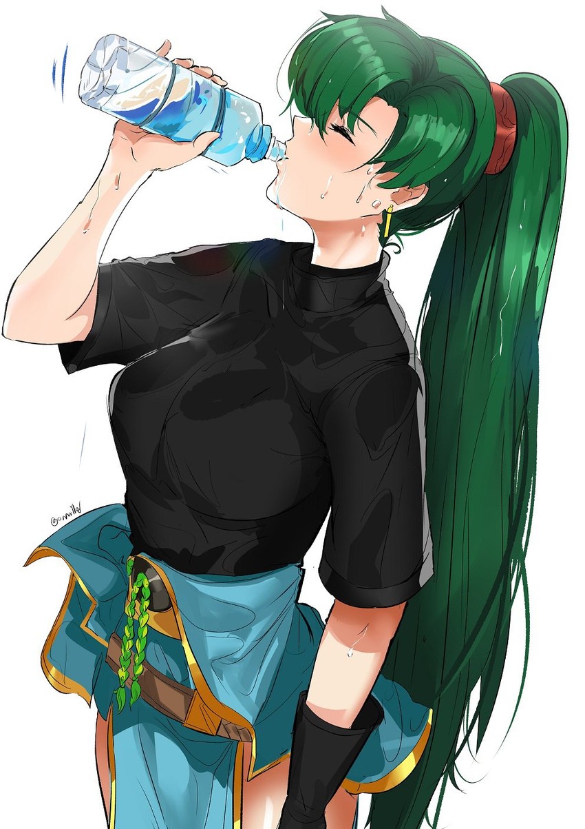 lyn (fire emblem and 1 more) drawn by ormille