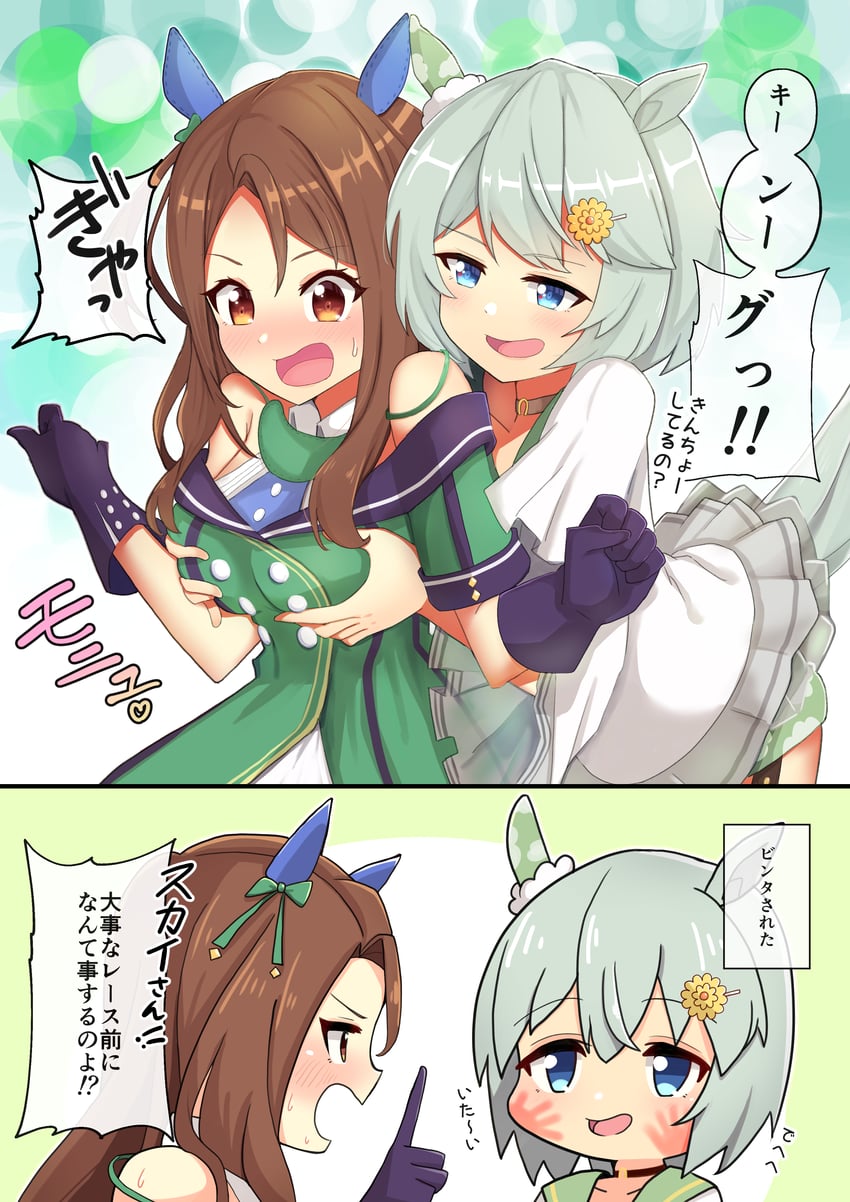 king halo and seiun sky (umamusume) drawn by ao_(flowerclasse)