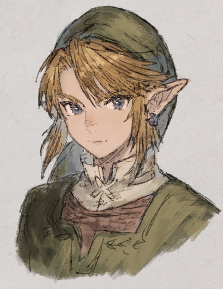 link (the legend of zelda and 1 more) drawn by maeka_(kumaekake)