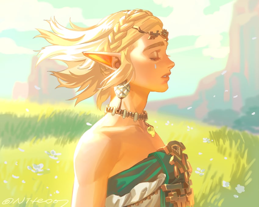 princess zelda (the legend of zelda and 1 more) drawn by niteo07