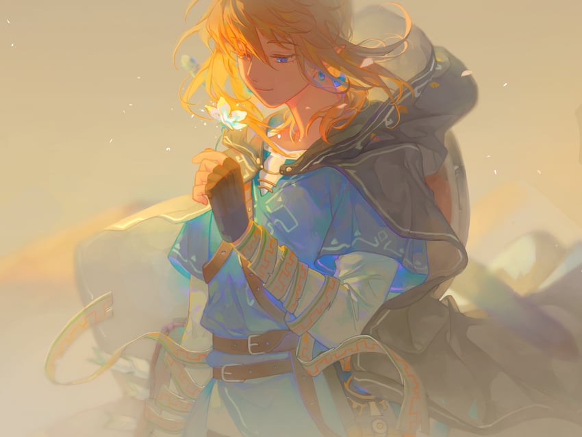 link (the legend of zelda and 1 more) drawn by feisekong286