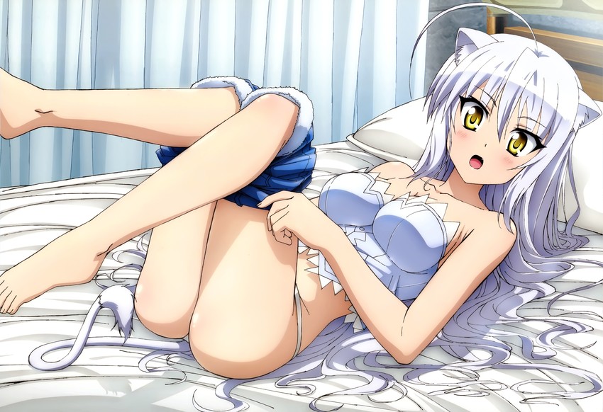 leonmitchelli galette des rois (dog days) drawn by tamaki_shingo