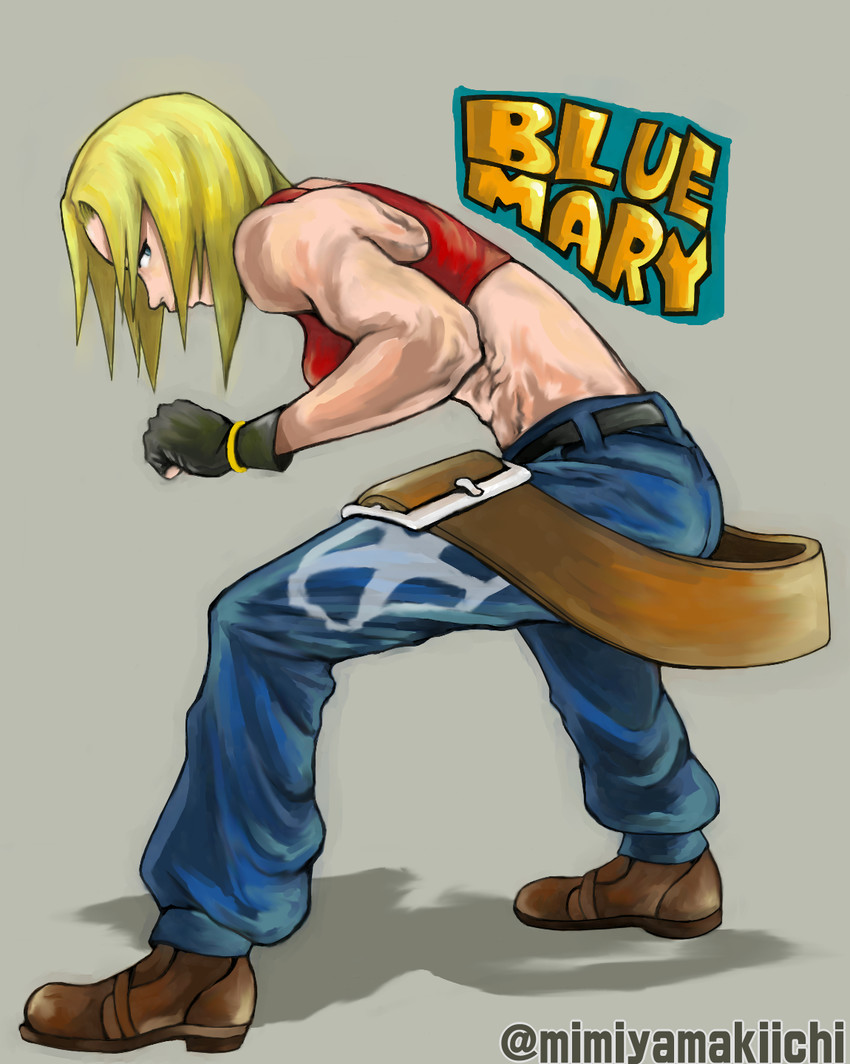 blue mary (the king of fighters and 1 more) drawn by mimiyama_kiichi