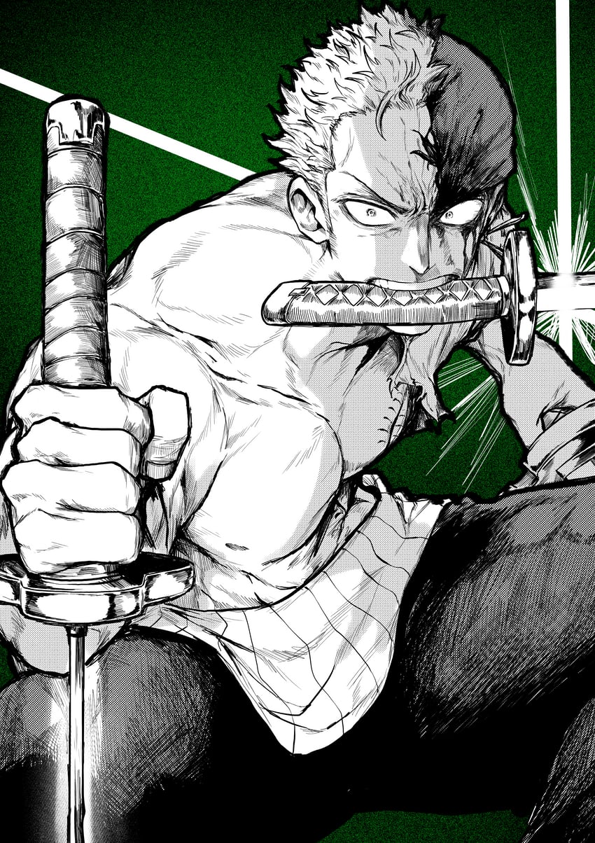 roronoa zoro (one piece) drawn by yotsumi_shiro