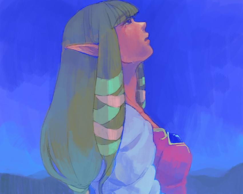 princess zelda (the legend of zelda and 1 more) drawn by yo_mo