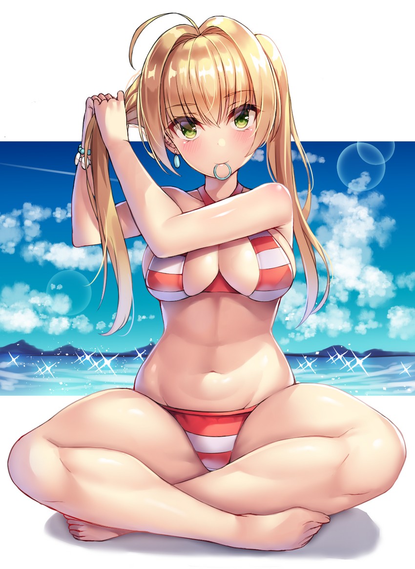nero claudius (fate and 1 more) drawn by nano_(syoutamho)