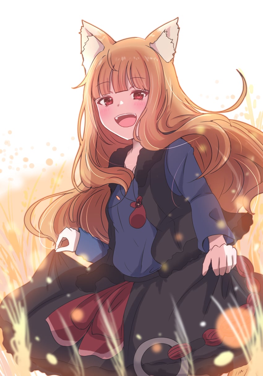 holo (spice and wolf) drawn by giorgio_(yo_sumire_sola1)