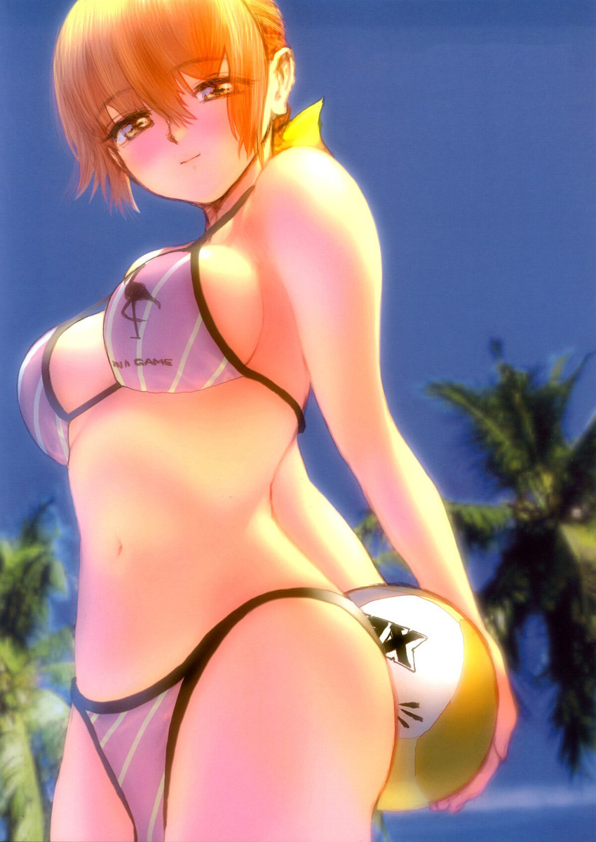 kasumi (dead or alive and 1 more) drawn by ebina_souichi