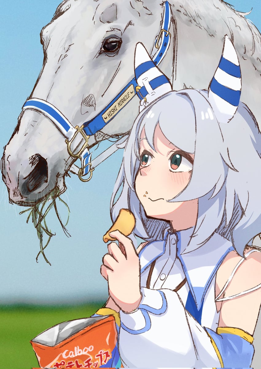 hishi miracle (umamusume and 2 more) drawn by ram_(p_searam)