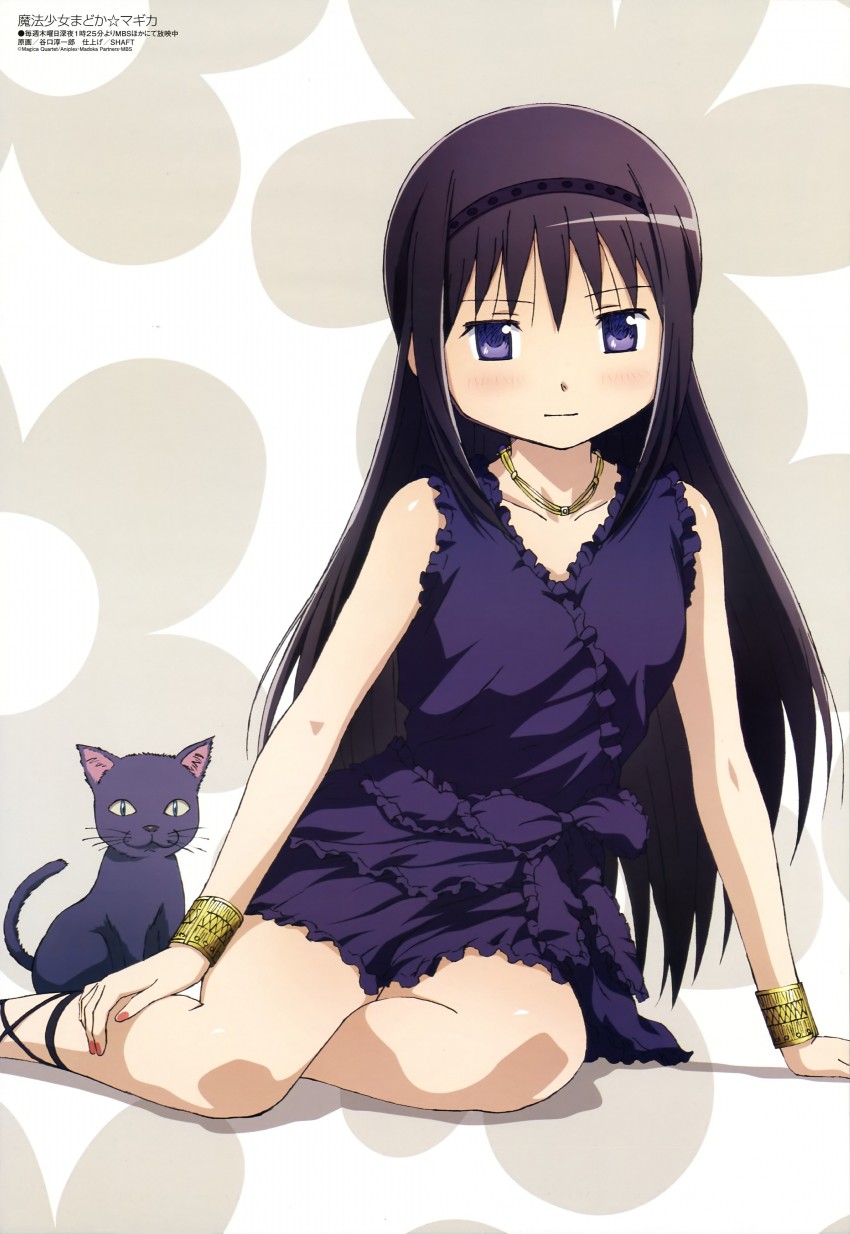 akemi homura and amy (mahou shoujo madoka magica and 1 more) drawn by taniguchi_jun'ichirou