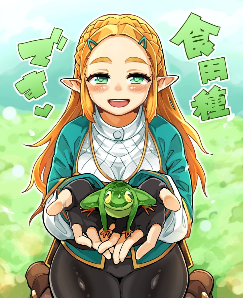 princess zelda (the legend of zelda and 1 more) drawn by fukumaaya