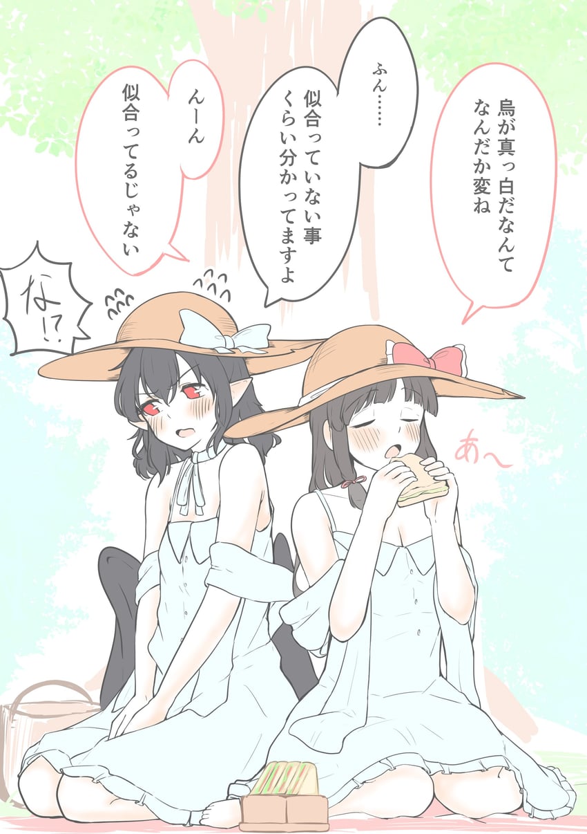hakurei reimu and shameimaru aya (touhou) drawn by seele_(chanseele0128)