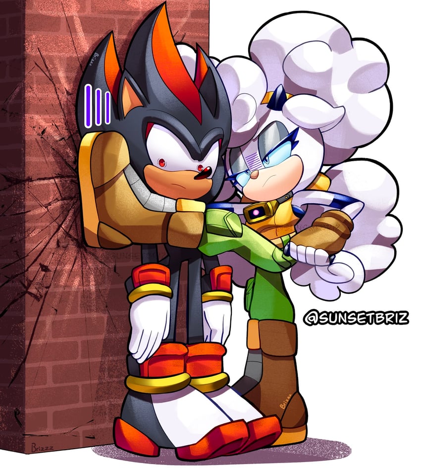 shadow the hedgehog and lanolin the sheep (sonic and 1 more) drawn by sunsetbriz