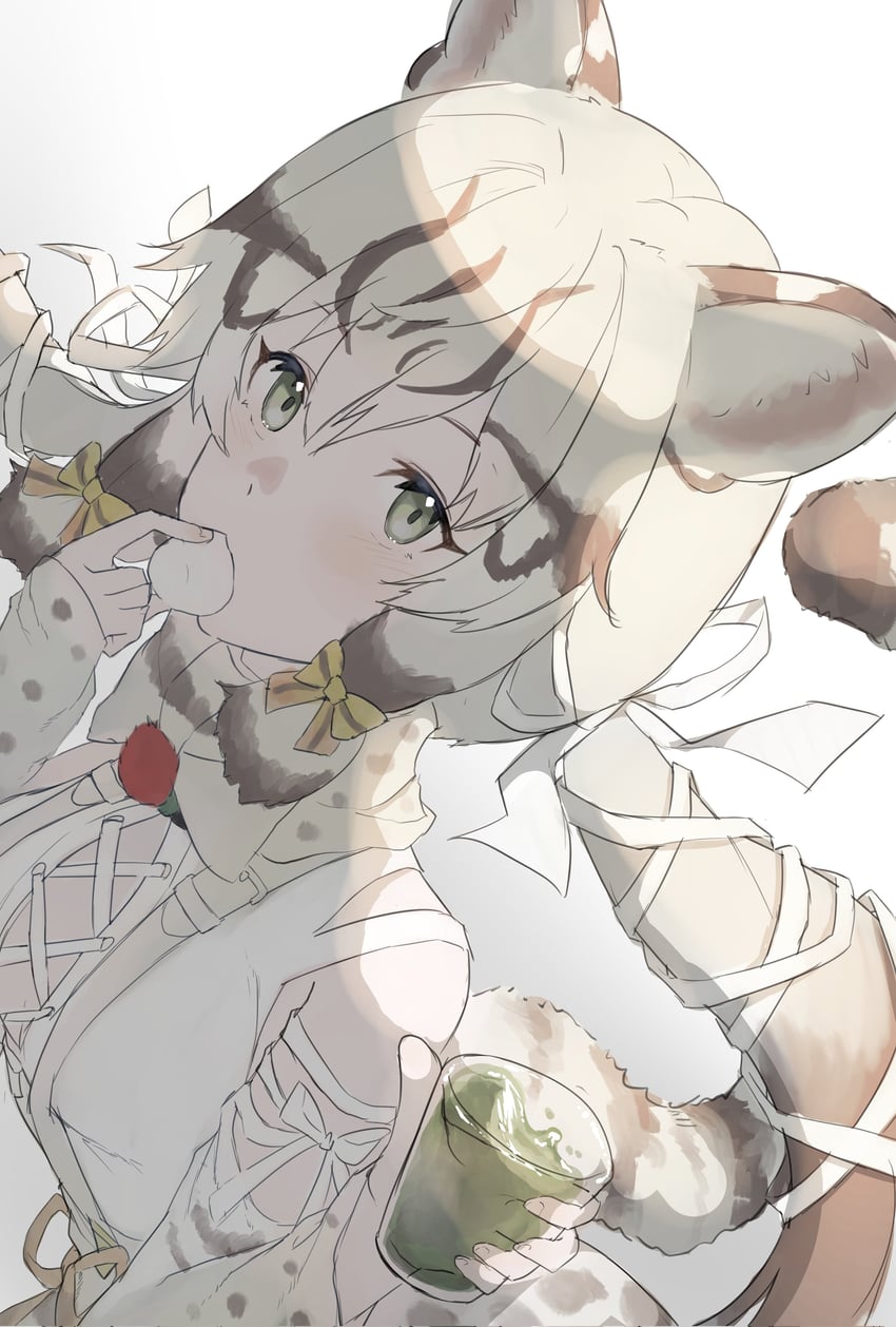 geoffroy's cat (kemono friends and 1 more) drawn by aranagi_(arng_4401)