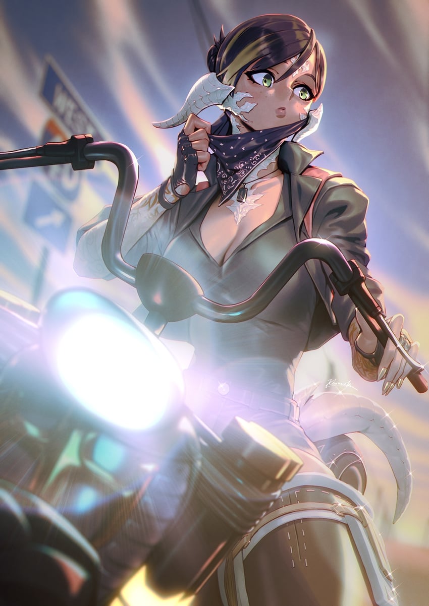 warrior of light (final fantasy and 1 more) drawn by kionaoki