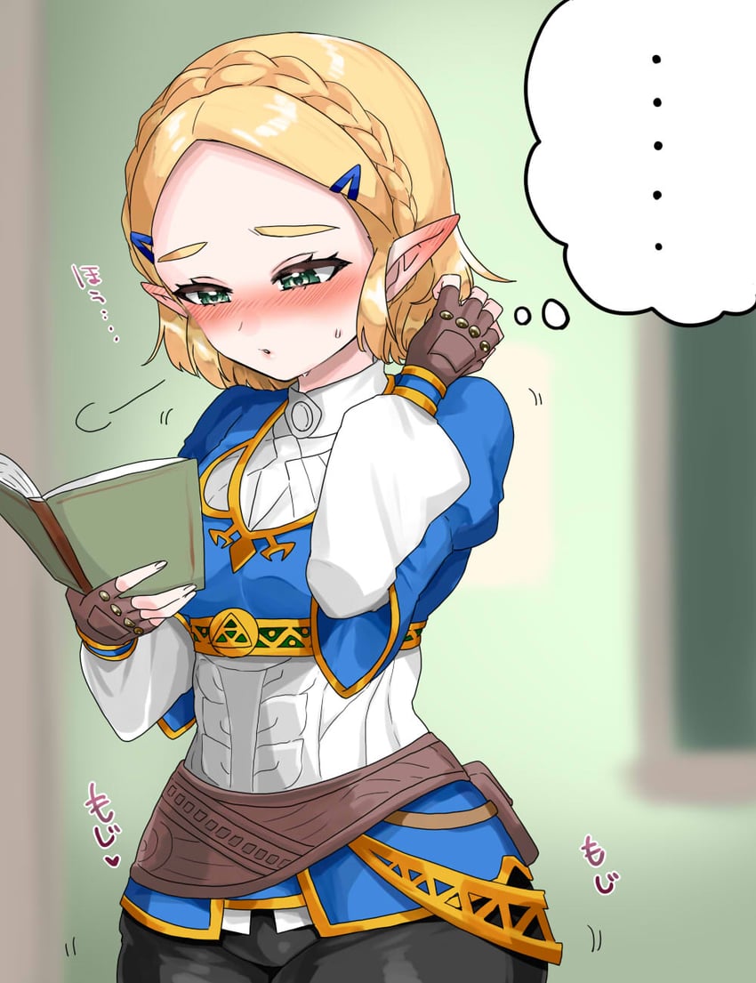 princess zelda (the legend of zelda and 1 more) drawn by wasabi_(legemd)